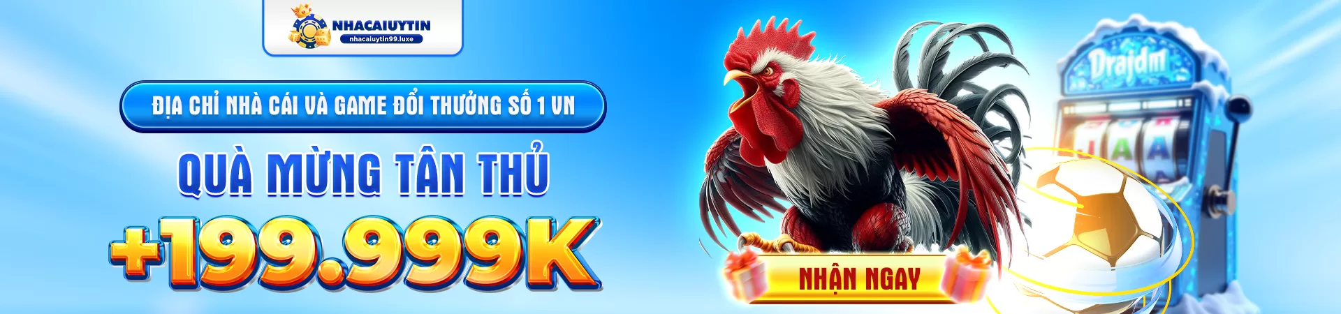 Baner giới thiệu thương hiệu uy tín 2025
